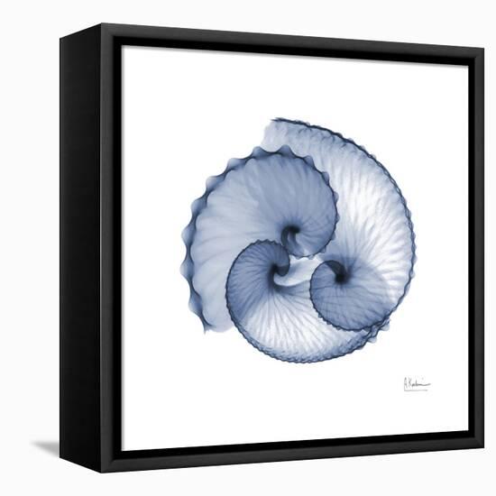 Indigo Sea Shells-Albert Koetsier-Framed Stretched Canvas