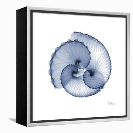 Indigo Sea Shells-Albert Koetsier-Framed Stretched Canvas