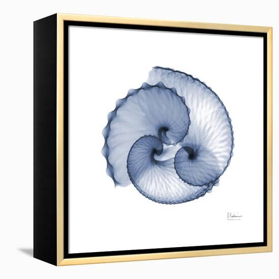 Indigo Sea Shells-Albert Koetsier-Framed Stretched Canvas