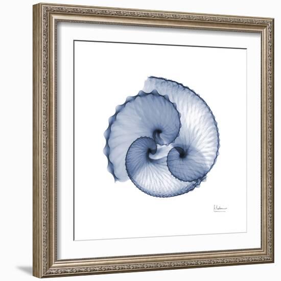 Indigo Sea Shells-Albert Koetsier-Framed Art Print