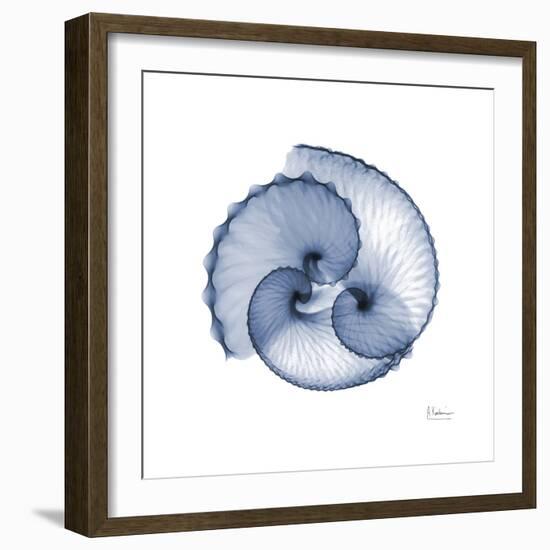 Indigo Sea Shells-Albert Koetsier-Framed Art Print