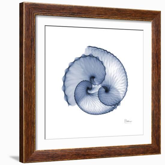 Indigo Sea Shells-Albert Koetsier-Framed Art Print