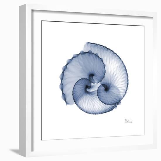 Indigo Sea Shells-Albert Koetsier-Framed Art Print