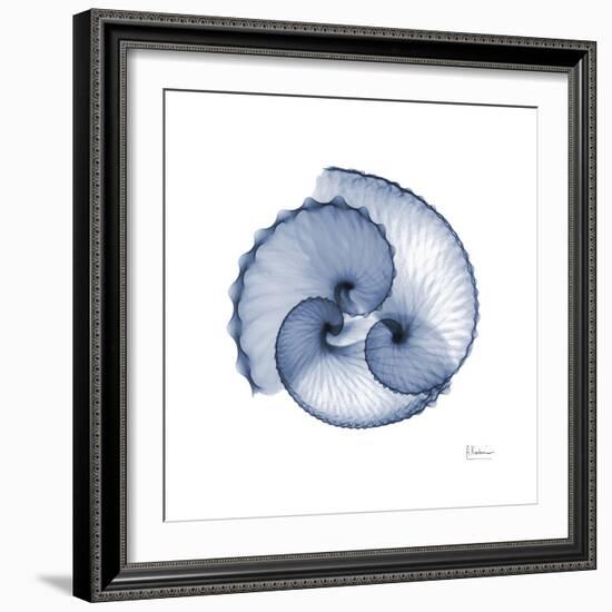 Indigo Sea Shells-Albert Koetsier-Framed Art Print