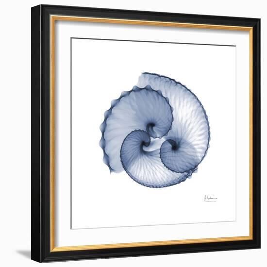 Indigo Sea Shells-Albert Koetsier-Framed Art Print