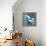 Indigo Sea VII-Paul Brent-Framed Stretched Canvas displayed on a wall