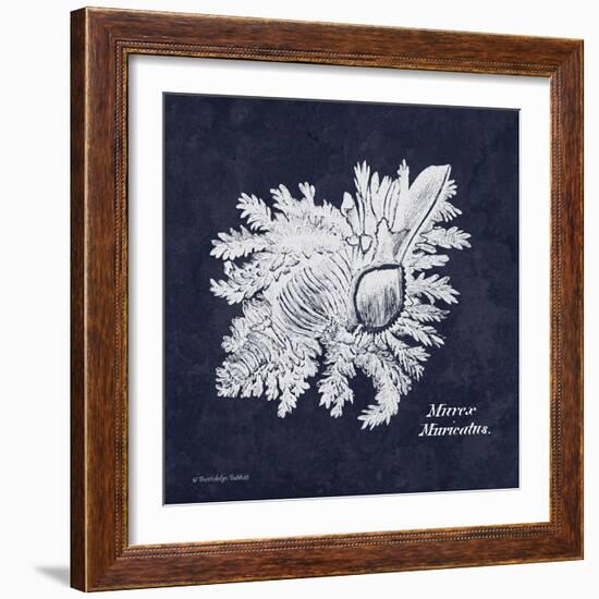 Indigo Shell I-Gwendolyn Babbitt-Framed Art Print