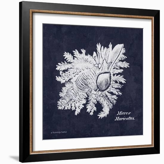 Indigo Shell I-Gwendolyn Babbitt-Framed Art Print