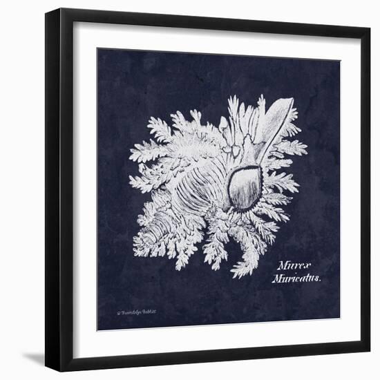 Indigo Shell I-Gwendolyn Babbitt-Framed Art Print