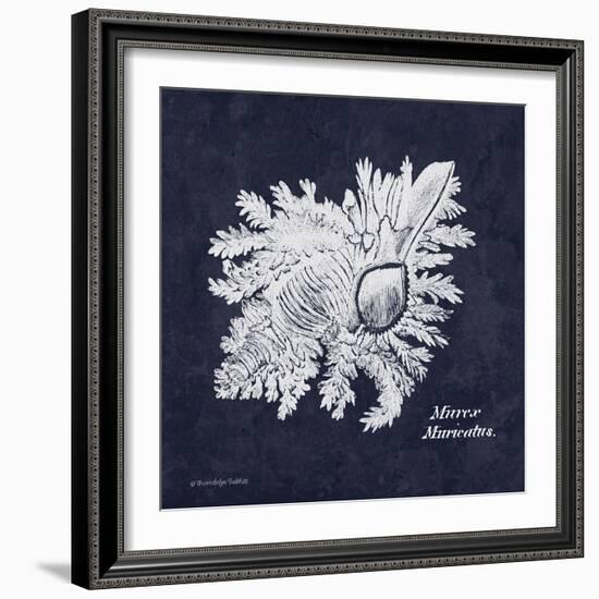 Indigo Shell I-Gwendolyn Babbitt-Framed Art Print