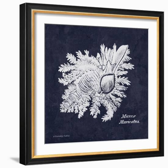 Indigo Shell I-Gwendolyn Babbitt-Framed Art Print