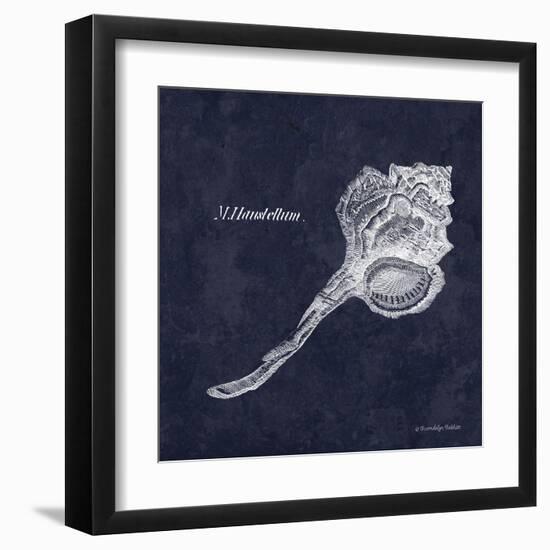 Indigo Shell II-Gwendolyn Babbitt-Framed Art Print