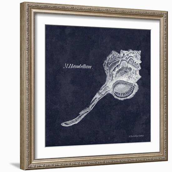 Indigo Shell II-Gwendolyn Babbitt-Framed Art Print