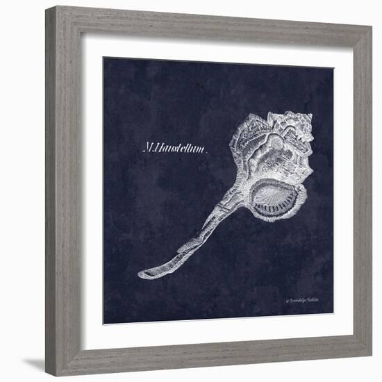 Indigo Shell II-Gwendolyn Babbitt-Framed Art Print