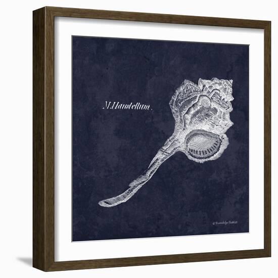 Indigo Shell II-Gwendolyn Babbitt-Framed Art Print