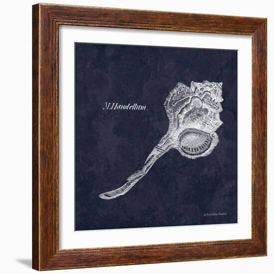 Indigo Shell II-Gwendolyn Babbitt-Framed Art Print