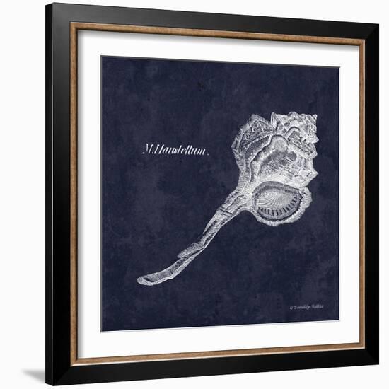 Indigo Shell II-Gwendolyn Babbitt-Framed Art Print