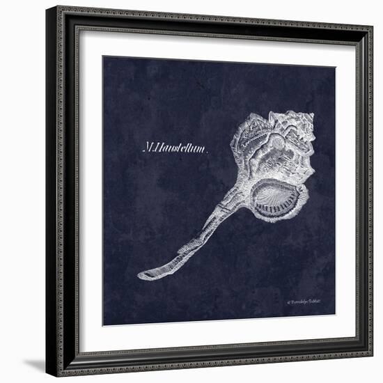 Indigo Shell II-Gwendolyn Babbitt-Framed Art Print