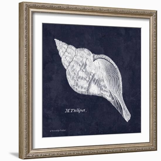 Indigo Shell III-Gwendolyn Babbitt-Framed Art Print