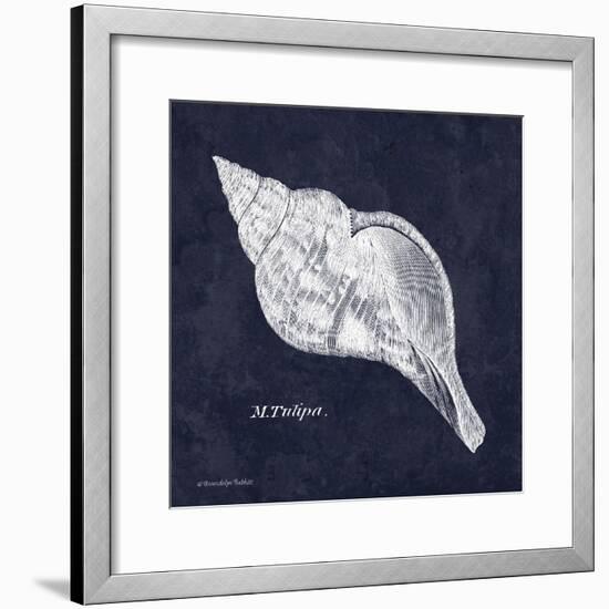 Indigo Shell III-Gwendolyn Babbitt-Framed Art Print