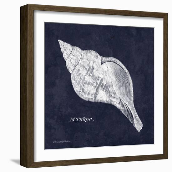 Indigo Shell III-Gwendolyn Babbitt-Framed Art Print