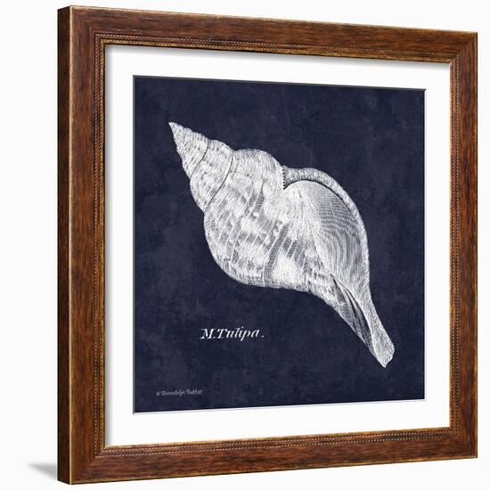 Indigo Shell III-Gwendolyn Babbitt-Framed Art Print