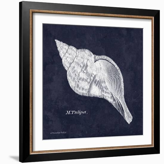 Indigo Shell III-Gwendolyn Babbitt-Framed Art Print