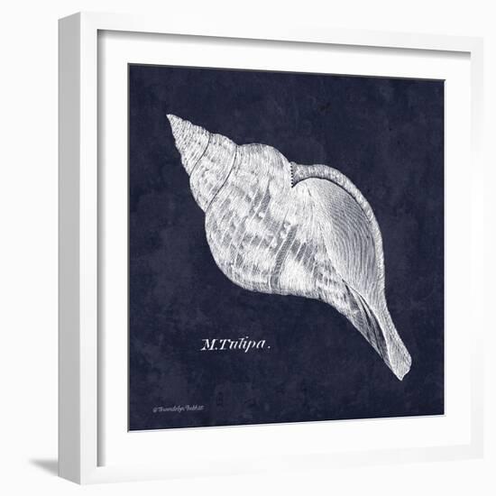 Indigo Shell III-Gwendolyn Babbitt-Framed Art Print