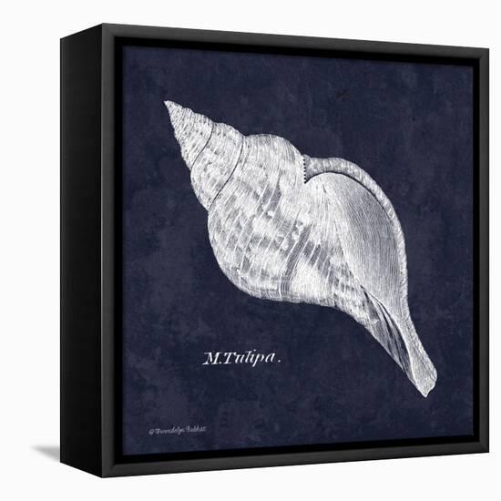 Indigo Shell III-Gwendolyn Babbitt-Framed Stretched Canvas