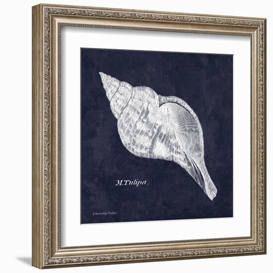 Indigo Shell III-Gwendolyn Babbitt-Framed Art Print