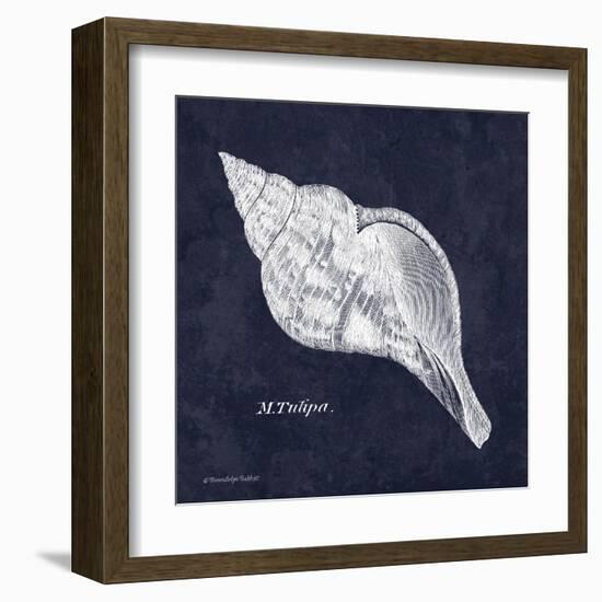 Indigo Shell III-Gwendolyn Babbitt-Framed Art Print