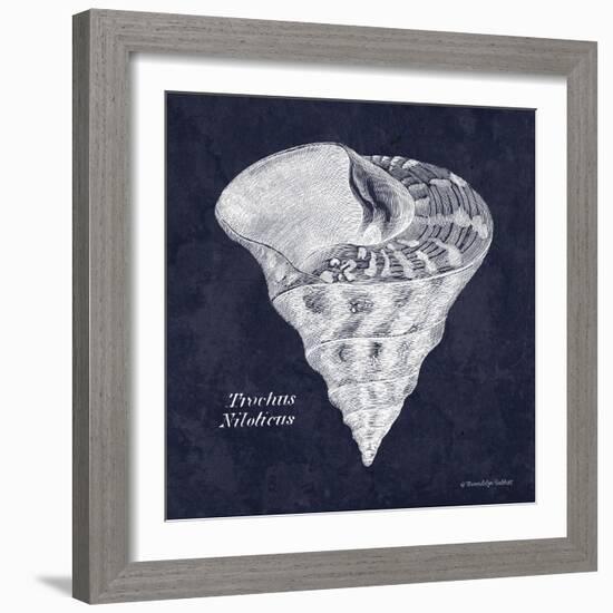 Indigo Shell IV-Gwendolyn Babbitt-Framed Art Print