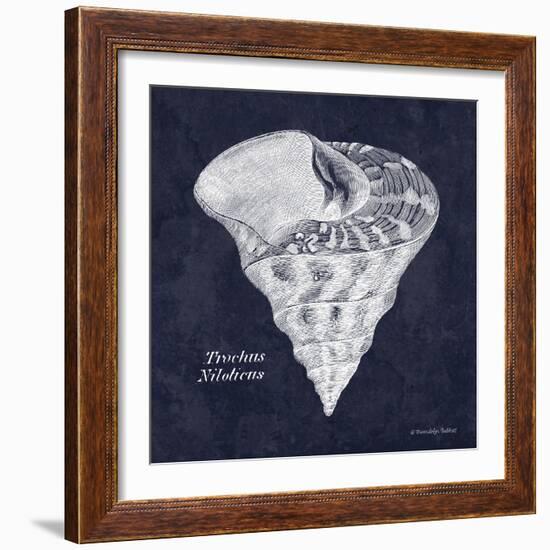 Indigo Shell IV-Gwendolyn Babbitt-Framed Art Print