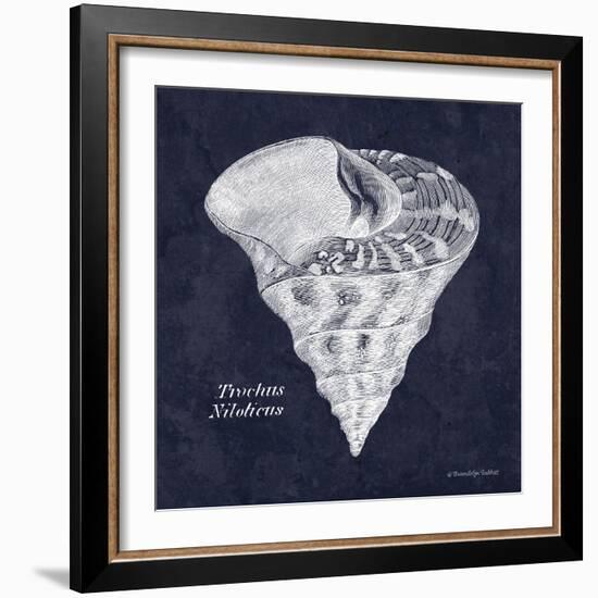 Indigo Shell IV-Gwendolyn Babbitt-Framed Art Print