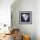 Indigo Shell IV-Gwendolyn Babbitt-Framed Art Print displayed on a wall