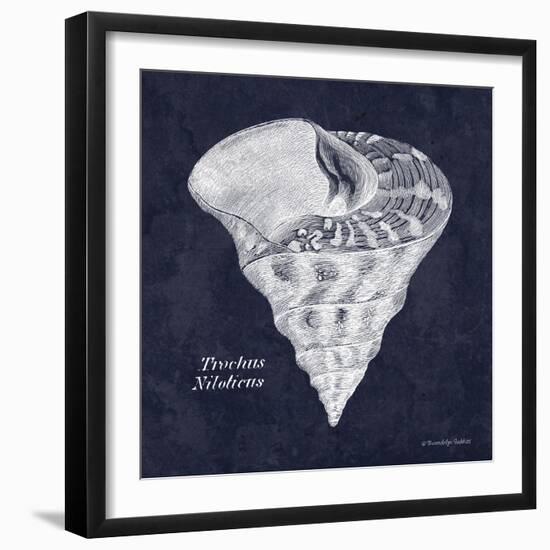 Indigo Shell IV-Gwendolyn Babbitt-Framed Art Print