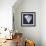 Indigo Shell IV-Gwendolyn Babbitt-Framed Art Print displayed on a wall