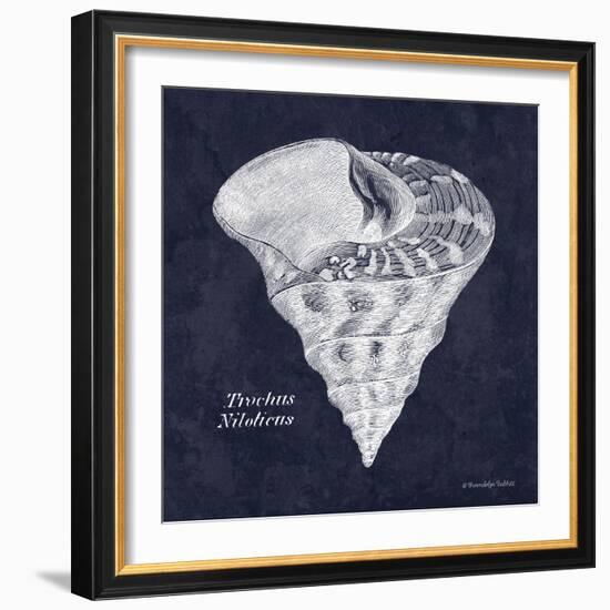 Indigo Shell IV-Gwendolyn Babbitt-Framed Art Print