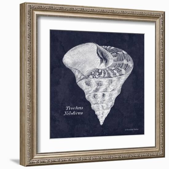 Indigo Shell IV-Gwendolyn Babbitt-Framed Art Print