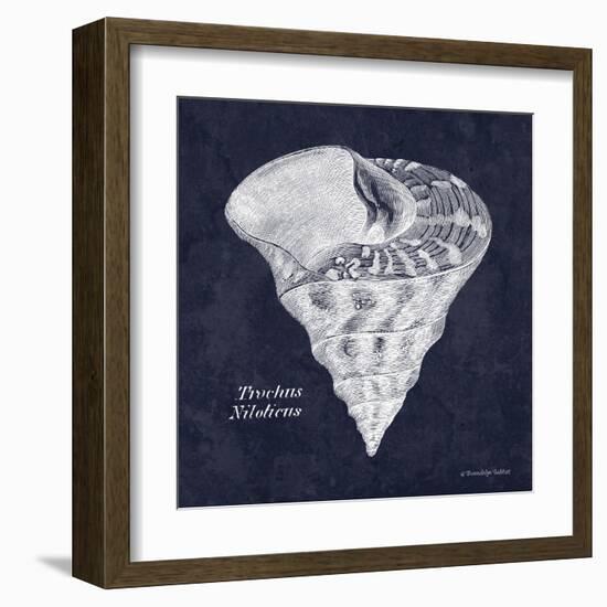 Indigo Shell IV-Gwendolyn Babbitt-Framed Art Print