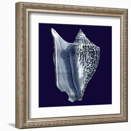 Indigo Shells I-Vision Studio-Framed Art Print