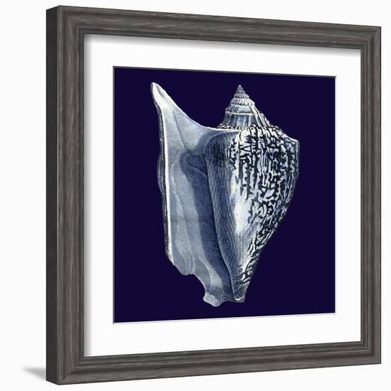 Indigo Shells I-Vision Studio-Framed Art Print