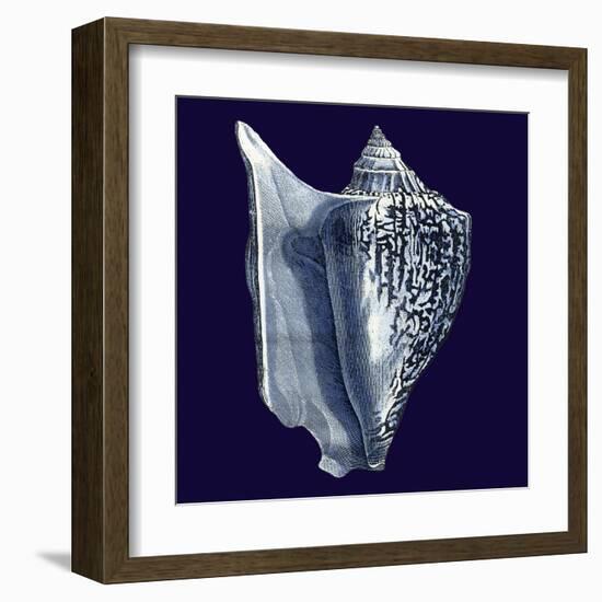 Indigo Shells I-Vision Studio-Framed Art Print