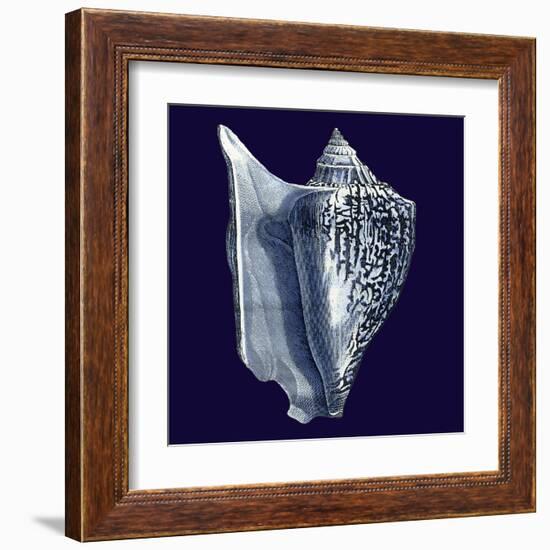 Indigo Shells I-Vision Studio-Framed Art Print