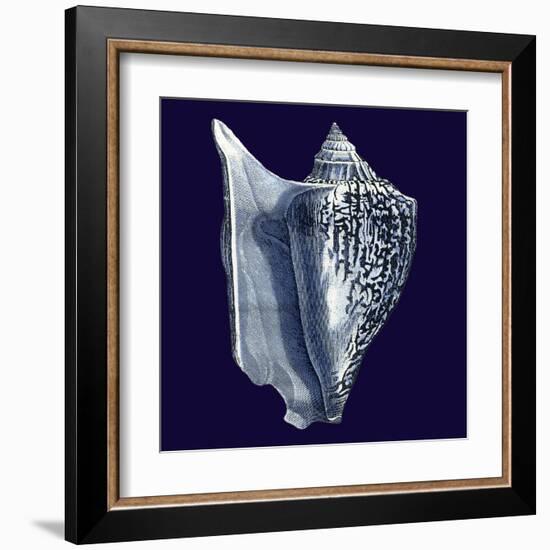 Indigo Shells I-Vision Studio-Framed Art Print