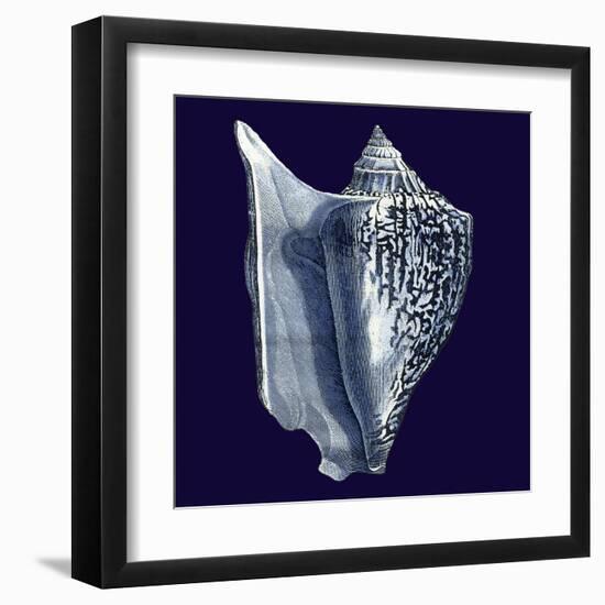 Indigo Shells I-Vision Studio-Framed Art Print