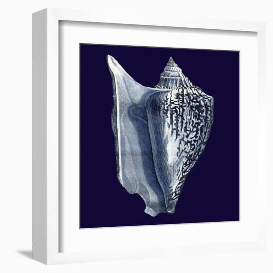 Indigo Shells I-Vision Studio-Framed Art Print