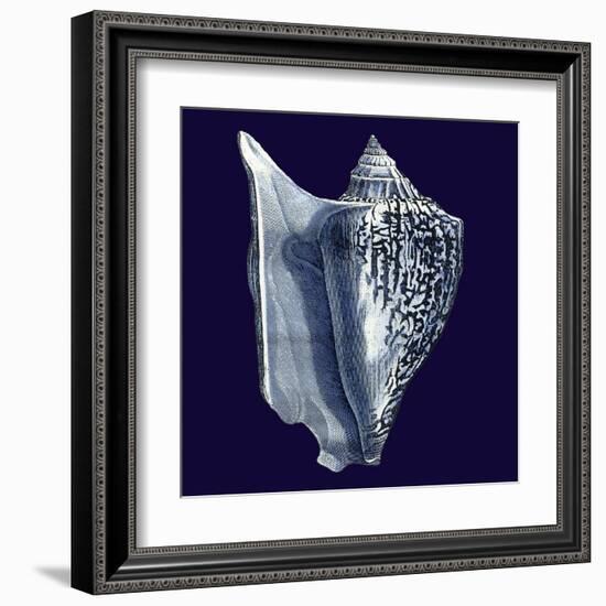 Indigo Shells I-Vision Studio-Framed Art Print