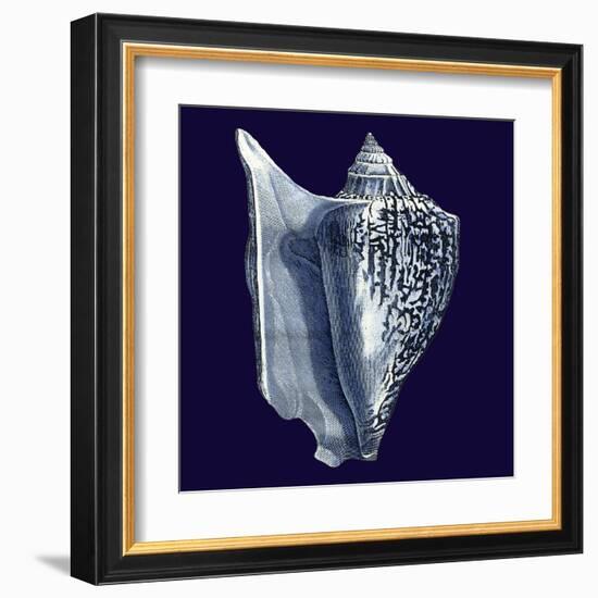 Indigo Shells I-Vision Studio-Framed Art Print