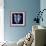 Indigo Shells I-Vision Studio-Framed Art Print displayed on a wall